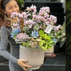 Hoa Sinh Nhật Bạn Gái – Chậu Lan Hồ Điệp Mini  Đẹp Màu Hồng Phớt Tươi Lâu