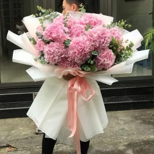 Bó Hoa Cẩm Tú Cầu Hồng Nhập Khẩu Hà Lan