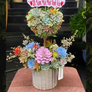 Hoa 14/2 Vì Sao Nên Chọn Hoa Sen Đá Trái Tim Tươi Đẹp Bền Lâu 15 -45 Ngày