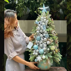 Cây Thông Thật Ghép Cành Từ Thông Đan Mạch Sang Trọng