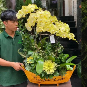 Chậu Lan Hồ Điệp Vàng Trồng Trên Con Thuyền Mang Biểu Tượng Thuận Buồm Xuôi Gió