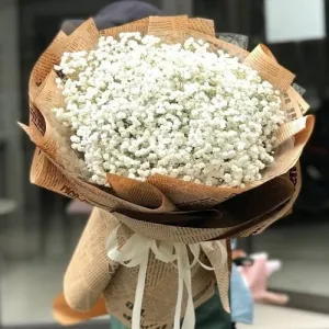 Bó Hoa Bi Trắng Đẹp Giá Rẻ-Kiểu Bó Tròn-Hoa Nhập Khẩu