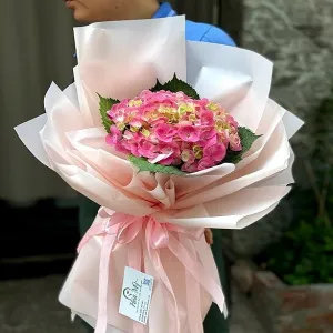 Bó Hoa Cẩm Tú Cầu Hồng Đẹp Tươi Lâu