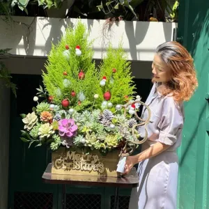 Tiểu Cảnh Noel Từ Cây Tùng Thơm Mix Hoa Sen Đá Đẹp Lạ Tươi Lâu