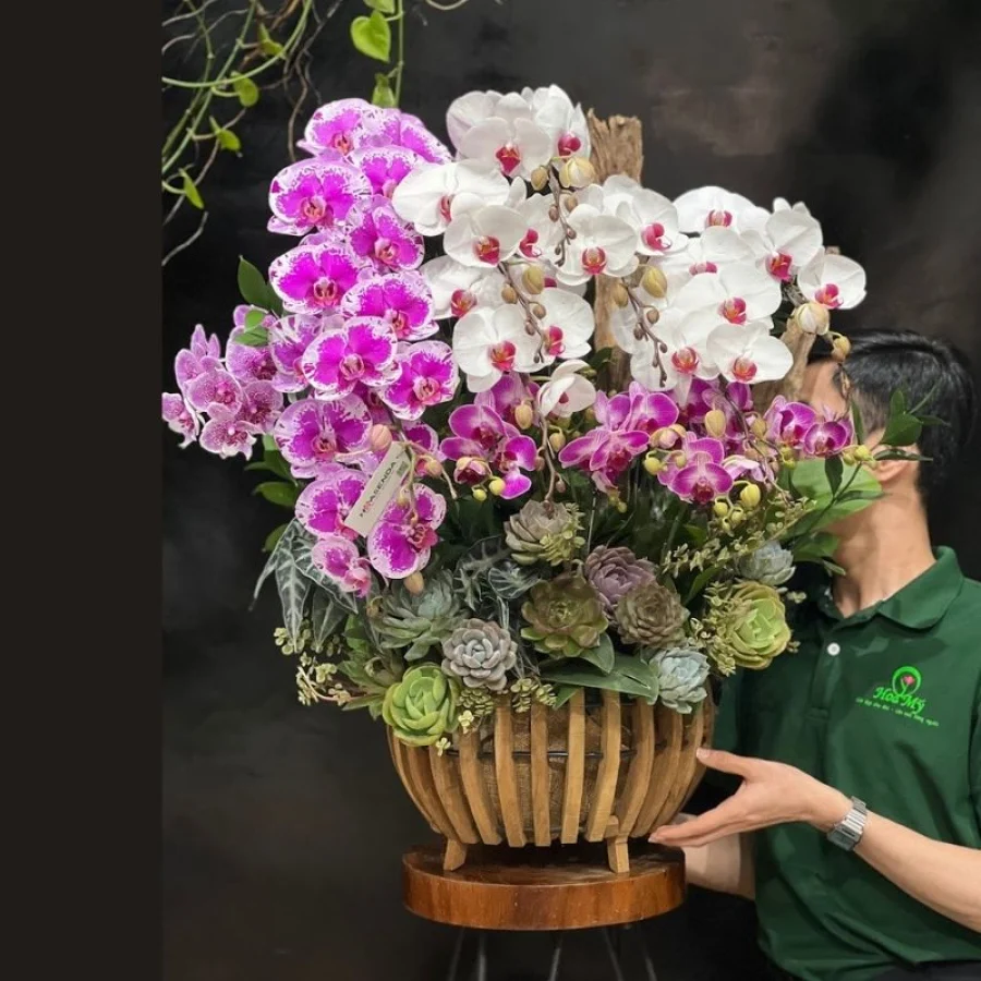 “Hoa Tặng 8 3”: Lẵng Hoa Lan Hồ Điệp Màu Pastel Mix Hoa Sen Đá