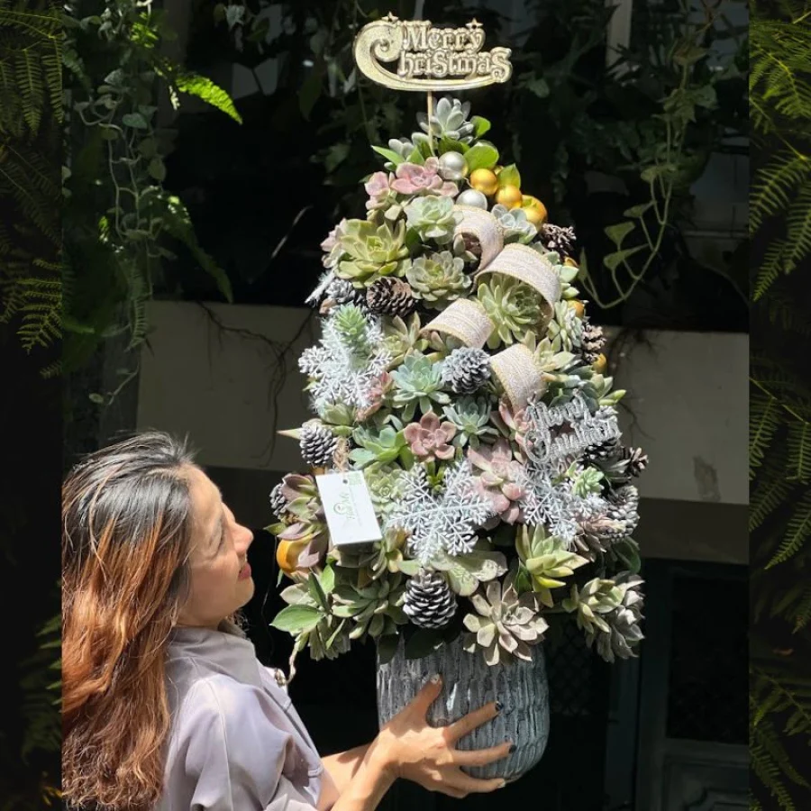 Cây Thông Noel Đẹp Từ Hoa Sen Đá Độc Đáo Tươi Lâu