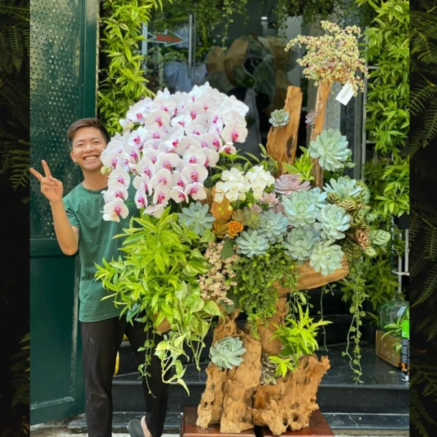 Đặt Hoa Hồ Điệp Tết – Cách Chọn Lan Hồ Điệp Ghép Gỗ Lũa Trồng Cùng Sen Đá Đẹp Sang Trọng