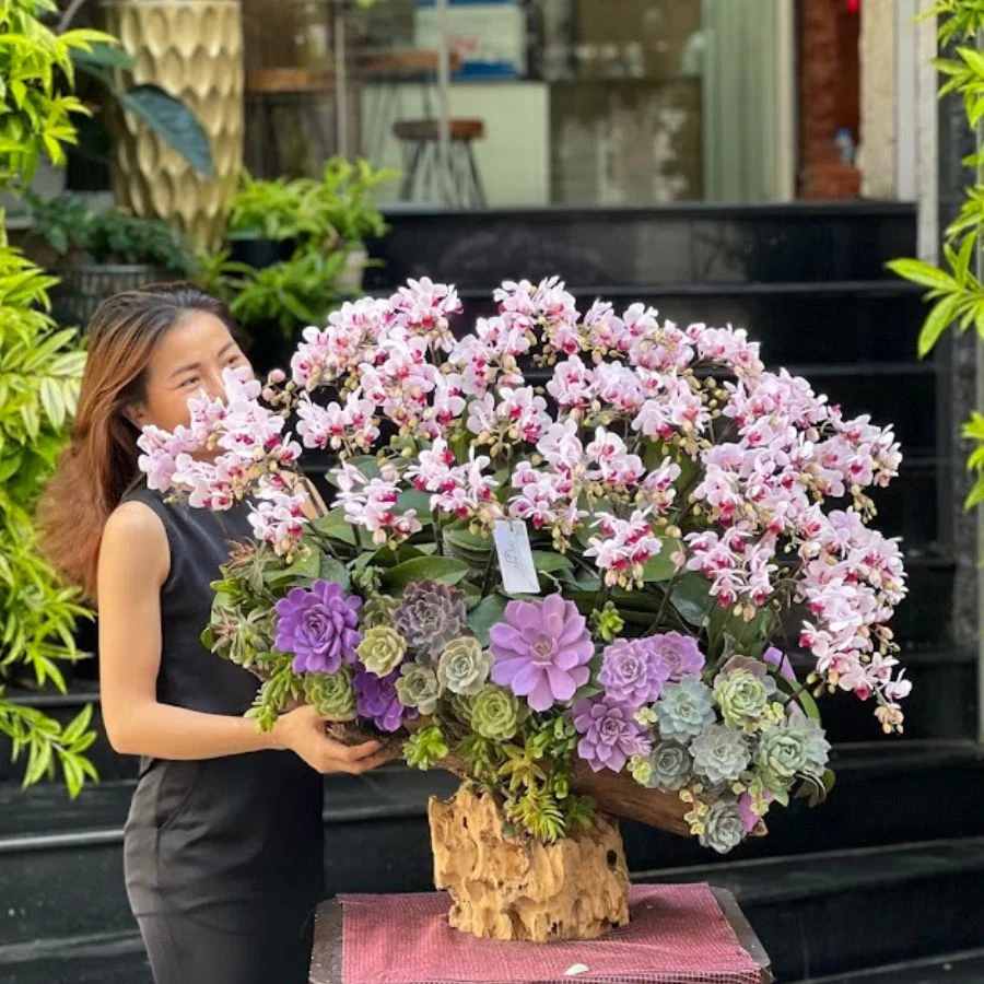Lũa Lan Hồ Điệp Để Bàn Mix Sen Đá Tím – Quà Tặng Sếp Nữ Sinh Nhật Ý Nghĩa, Hoa Khai Trương Hiện Đại