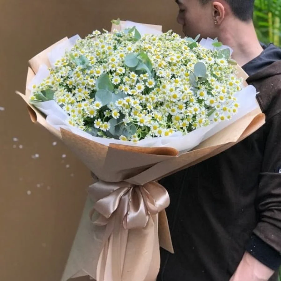 Ý Nghĩa Hoa Cúc Tana Là Gì? Địa Chỉ Mua Bó Cúc Tana?