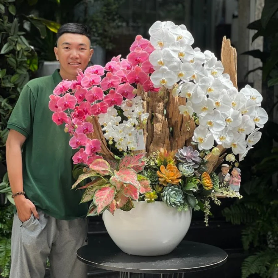 Lũa Gỗ Lan Hồ Điệp Đỏ, Trắng Mix Sen Đá – Hoa Khai Trương, Hoa Sinh Nhật, Hoa Tết, Hoa Tất Niên Bền Lâu