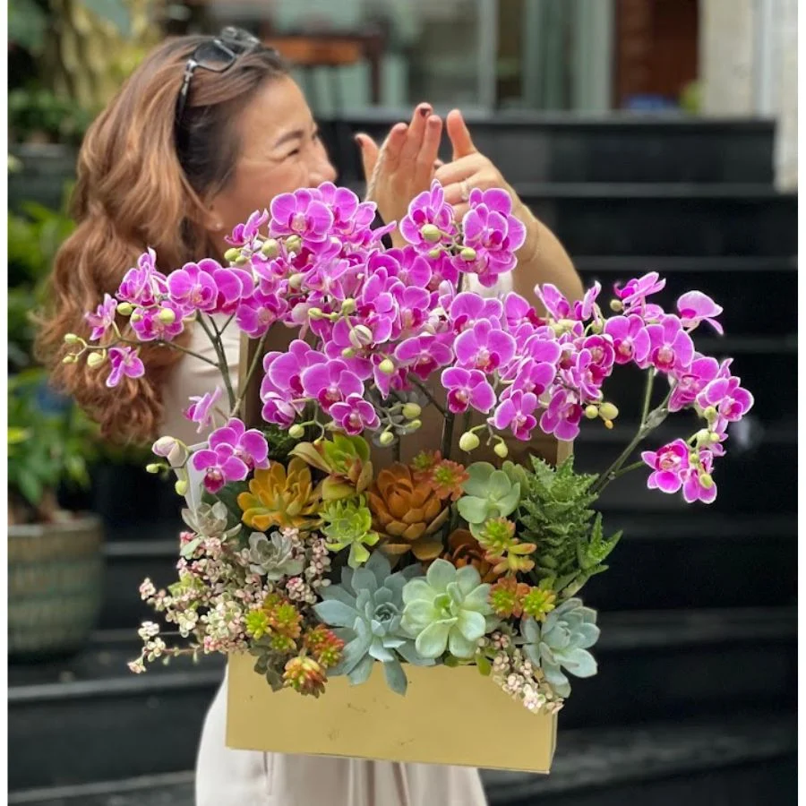 Lẵng Hoa Sen Đá Mix Lan Hồ Điệp Hồng Sang Chảnh Làm Quà Cho Sếp 