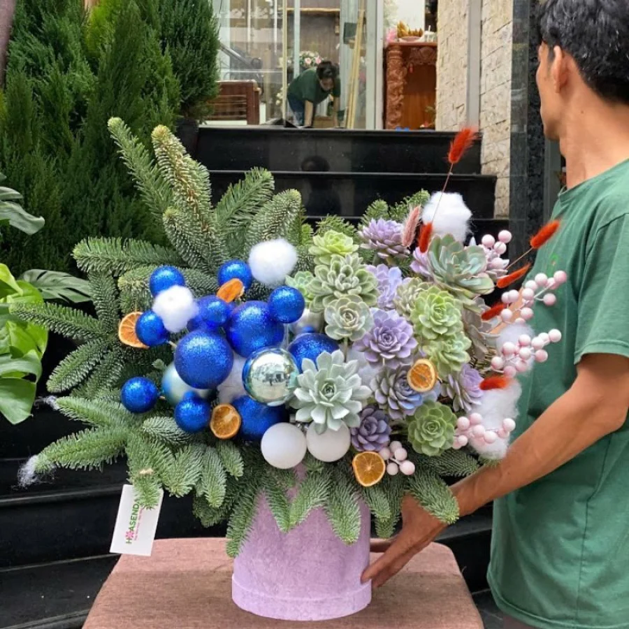 Cây Thông Để Bàn Nhập Khẩu Thông Đan Mạch Ghép Cành Mix Sen Đá Tươi Lâu
