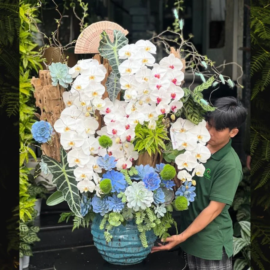 Lũa Lan Hồ Điệp Mix Hoa Sen Đá Tươi Đẹp Cả Tháng – Sang Trọng Bậc Nhất Sài Thành