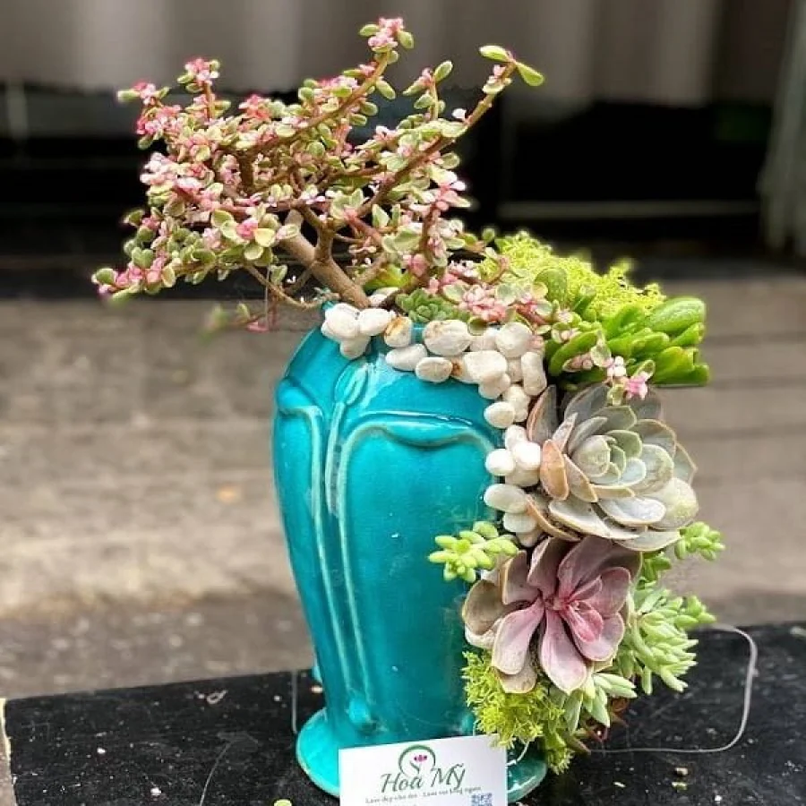 Bình Hoa Sen Đá Độc Đáo [Hoa Khai Trương Để Bàn]