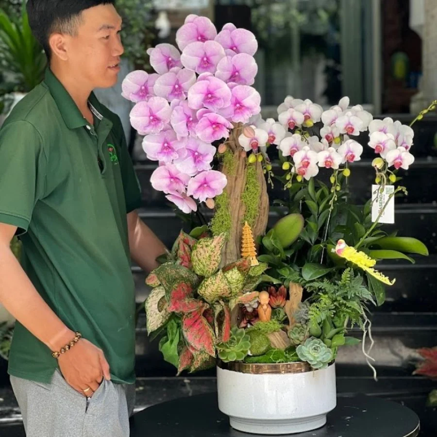 Vì Sao Hoa Lan Hồng Mix Sen Đá Trồng Gỗ Lũa Lại Được Ưa Chuộng Để Tặng Khai Trương?