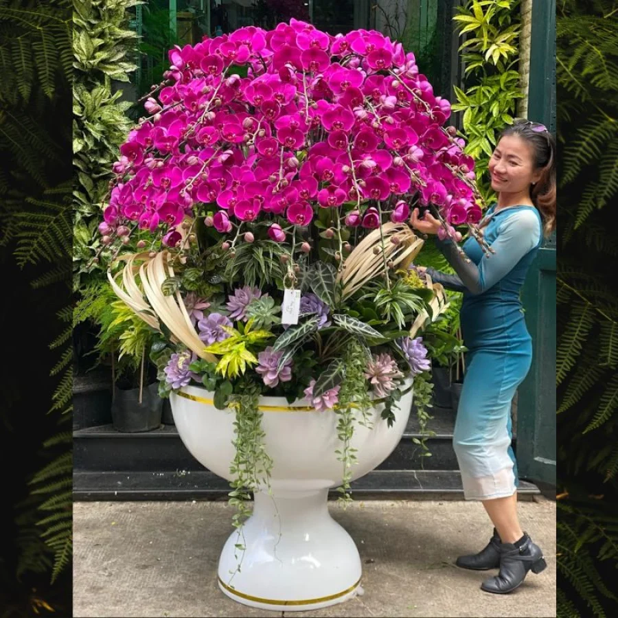 Hoa Lan Chậu Màu Tím 60 Cành Mix Sen Đá Cực Sang Tươi Lâu Đẹp Bền Cả Tháng
