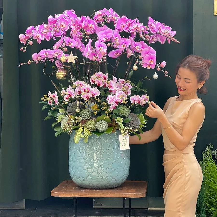 Chậu Lan Hồ Điệp Mix Sen Đá-Quà Biếu Sếp Ấn Tượng