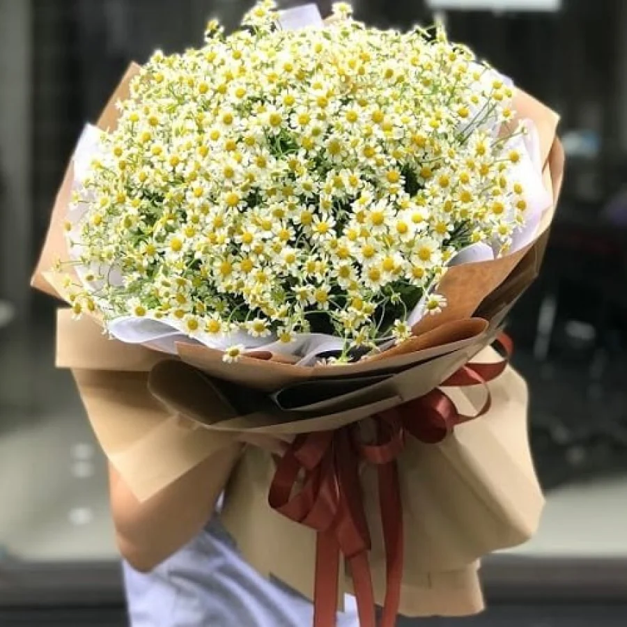 Hoa Cúc Tana Đẹp Kiểu Bó Tròn Lãng Mạn[Hoa Nhập Khẩu]