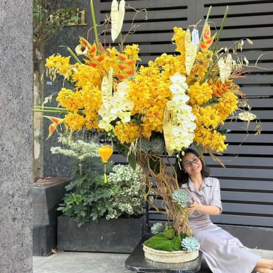 Hoa Chúc Mừng Năm Mới 2026- Chậu Bonsai Địa Lan Vàng Mix Lan Hồ Điệp Hoàng Kim Đại Phát Tài