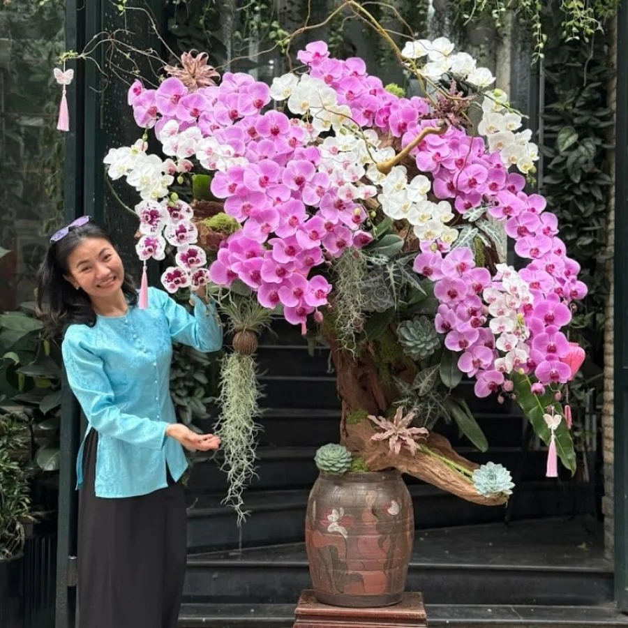 Hoa Lan Hồ Điệp Tết Độc Đáo Với Chậu Lan Dáng Bonsai Có 1-0-2 Trên Thị Trường